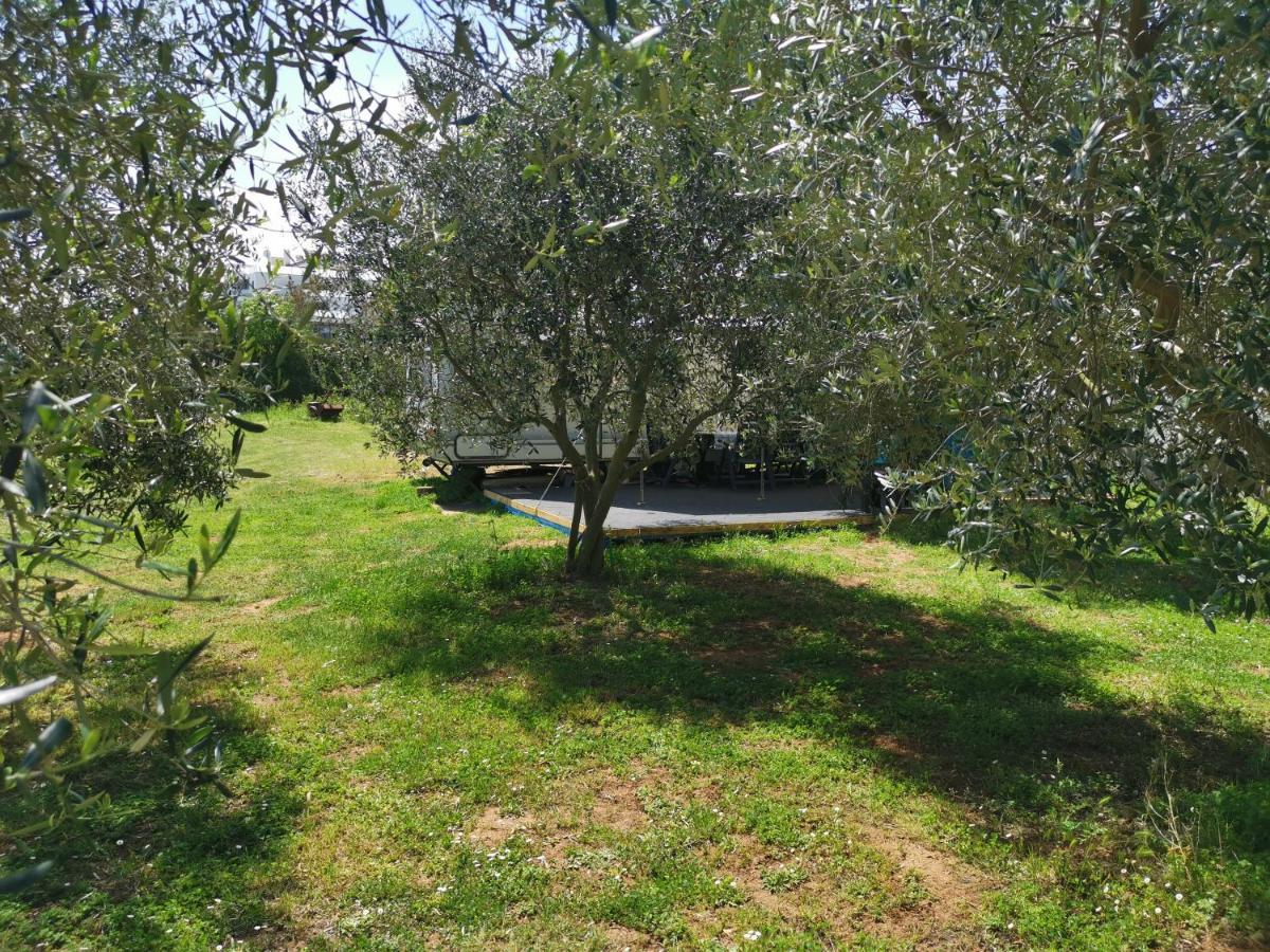 Hotel Large Camper In The Olive Grove Banjole Exterior foto